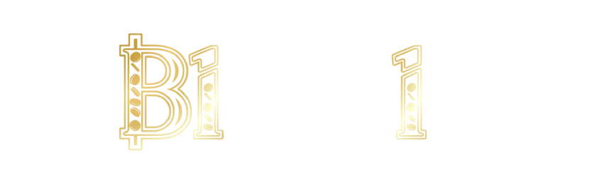 b1bahis